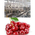 export high-proficency full-automatic cherry processing line